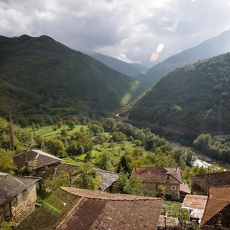 Radika View House Daire Galicnik Dış mekan fotoğraf