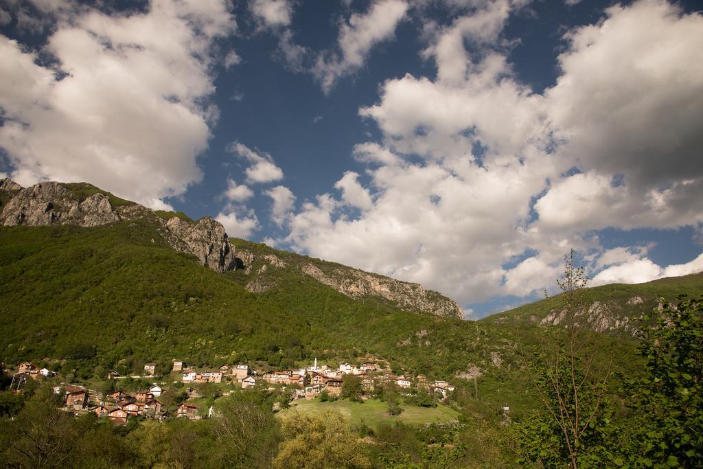 Radika View House Daire Galicnik Oda fotoğraf