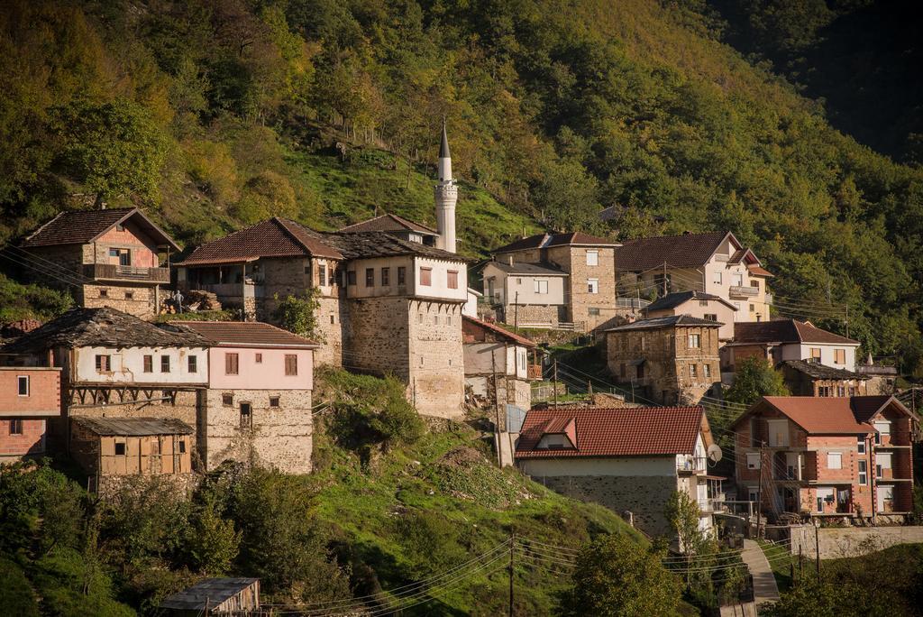 Radika View House Daire Galicnik Dış mekan fotoğraf