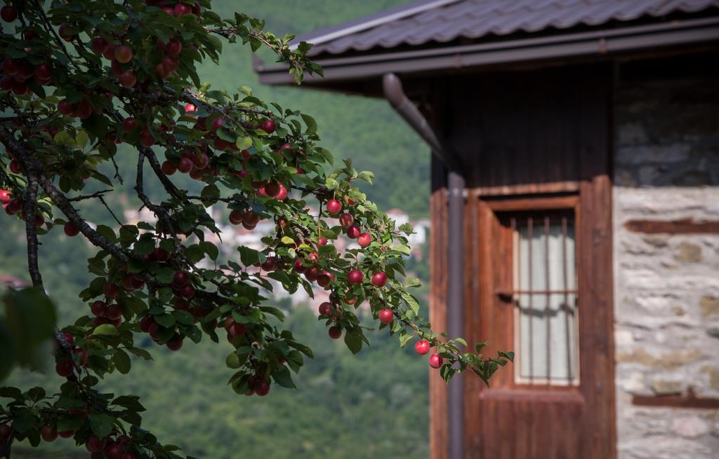 Radika View House Daire Galicnik Dış mekan fotoğraf