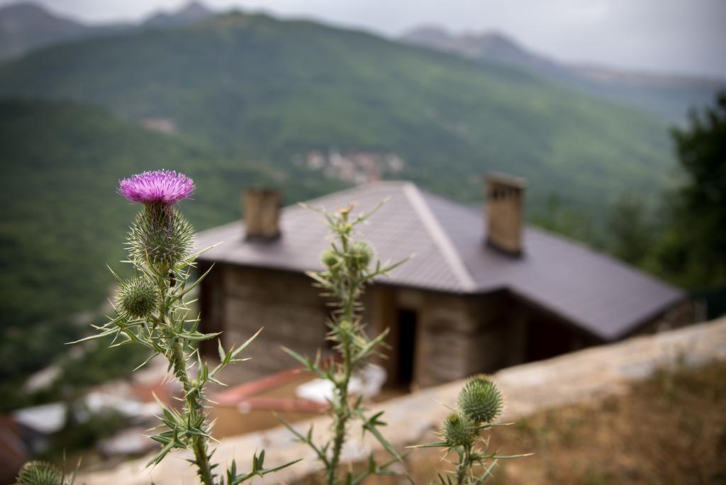 Radika View House Daire Galicnik Dış mekan fotoğraf