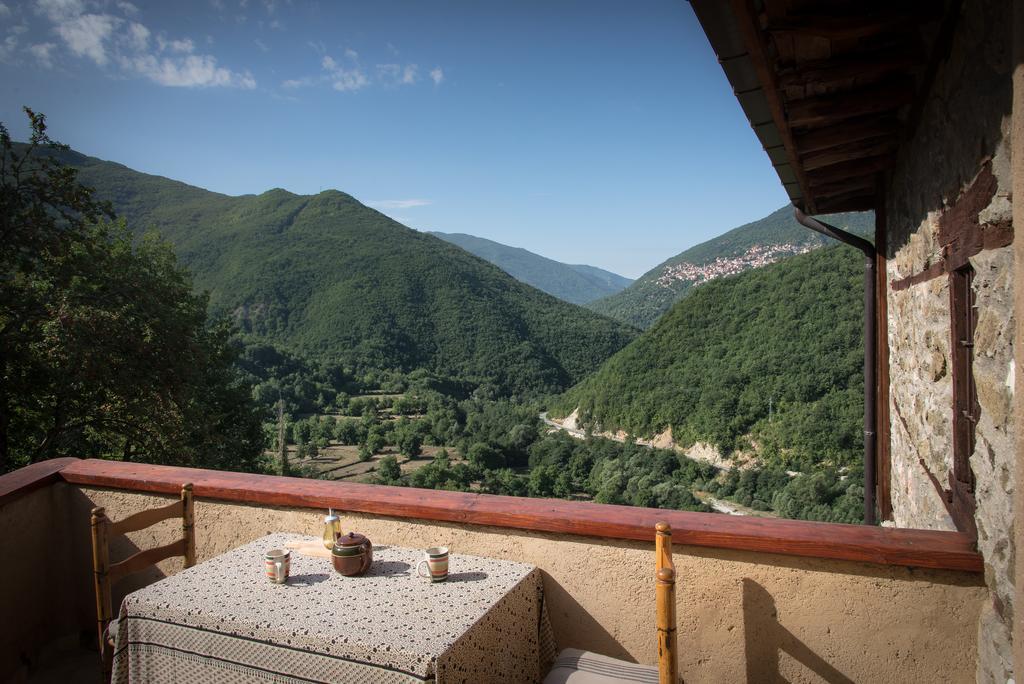 Radika View House Daire Galicnik Dış mekan fotoğraf
